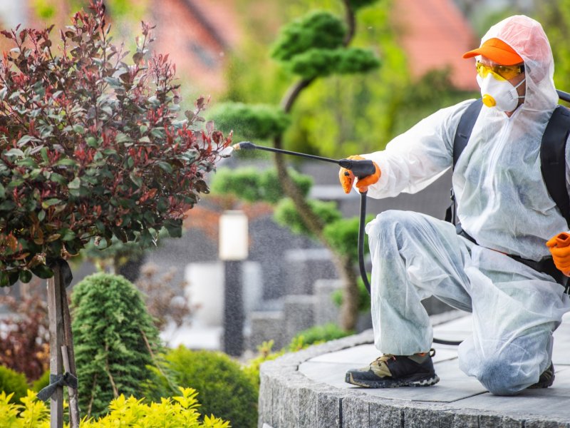 Kınık Haşere İlaçlama